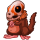 pet