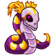pet