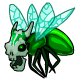 pet