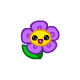 pet
