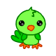 pet