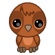 pet