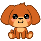pet