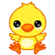 pet