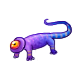 pet