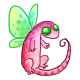 pet
