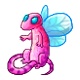 pet