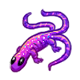 pet